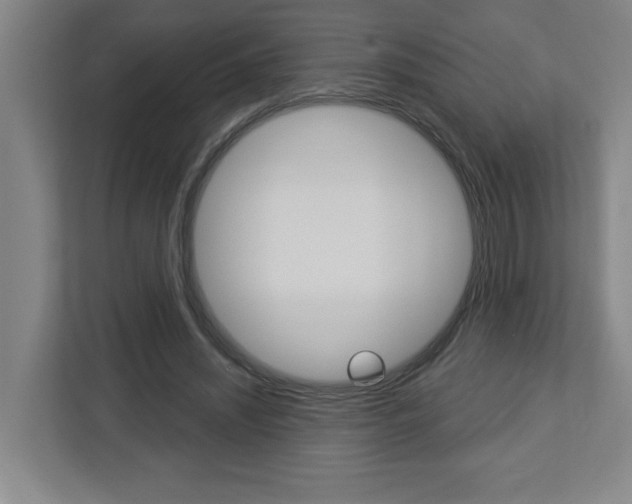 X0000113050444200908271058
