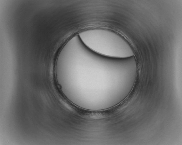 X0000113050445200908271058