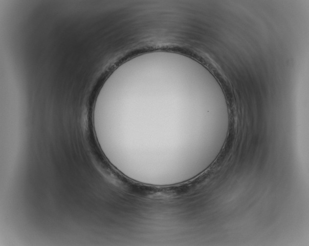 X0000113050447200908271058