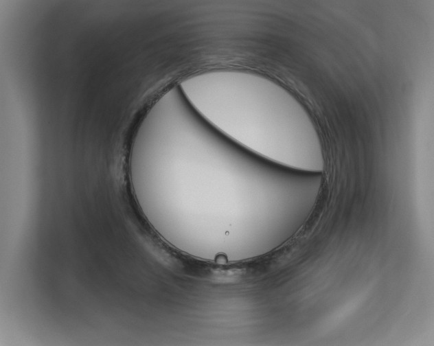 X0000113050450200908271058