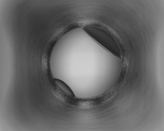 X0000113050452200908271058