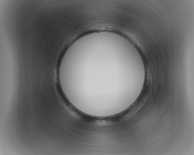 X0000113050453200908271058