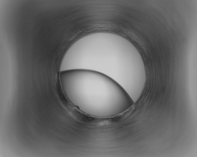 X0000113050456200908271058