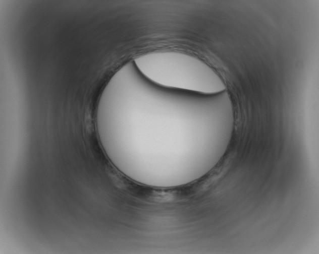X0000113050469200908271058