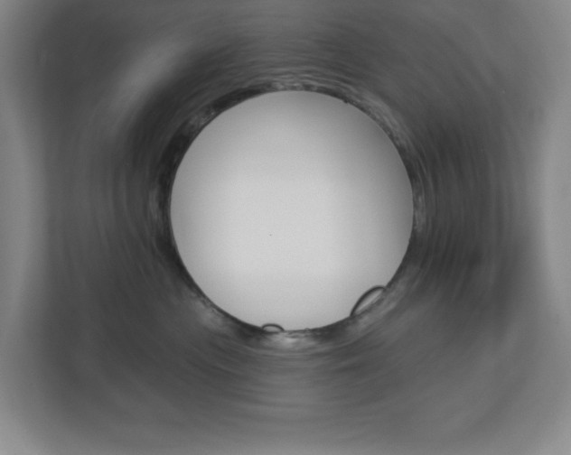 X0000113050477200908271058