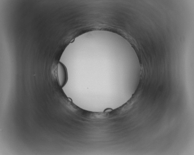 X0000113050479200908271058