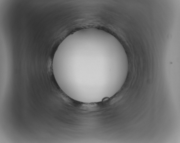 X0000113050480200908271058