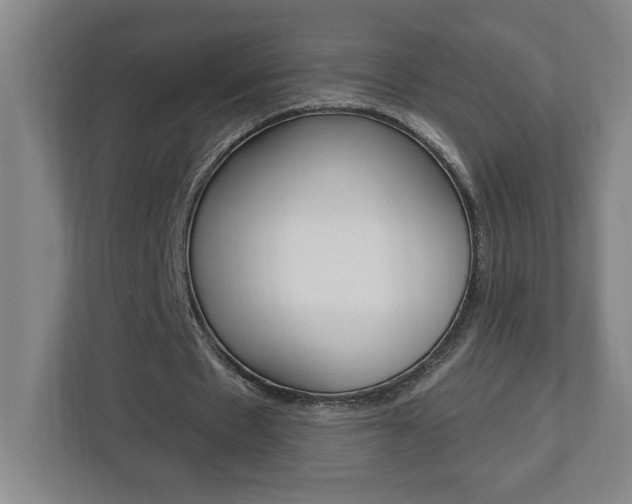 X0000113050481200908271058