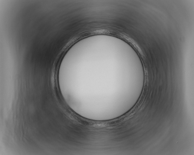 X0000113050482200908271058