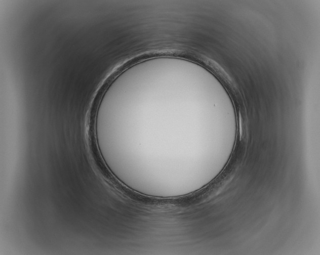 X0000113050483200908271058