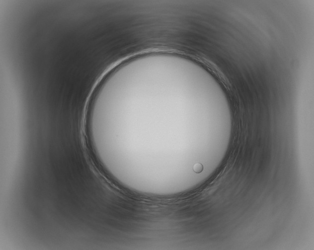 X0000113050484200908271058