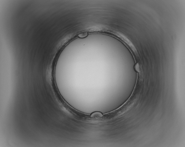 X0000113050485200908271058
