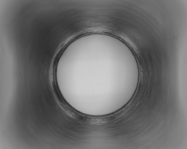 X0000113050486200908271058