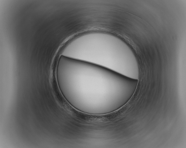 X0000113050488200908271058