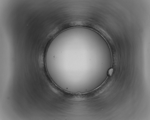 X0000113050489200908271058