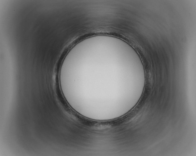 X0000113050491200908271058