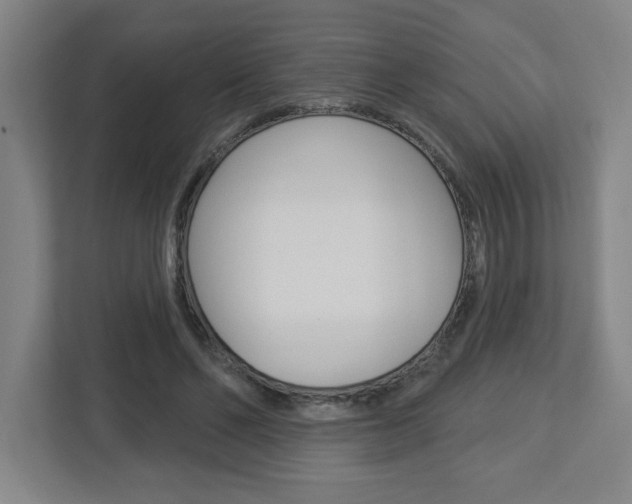 X0000113050494200908271058