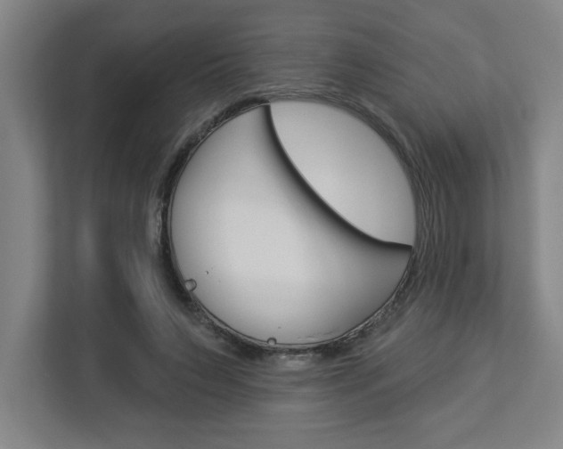 X0000113050495200908271058