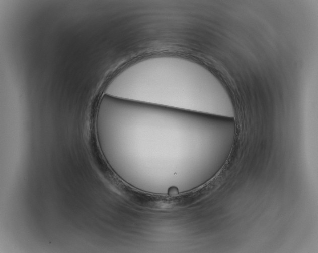 X0000113050496200908271058