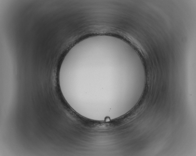 X0000113050497200908271058