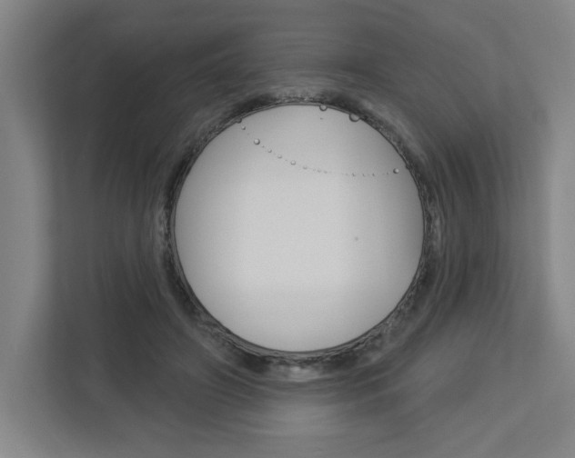 X0000113050498200908271058