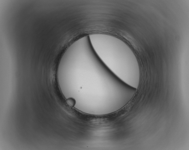 X0000113050499200908271057