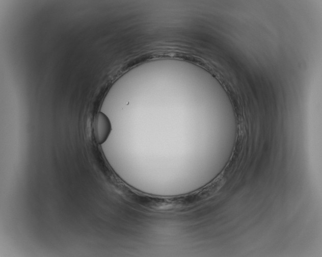 X0000113050504200908271057
