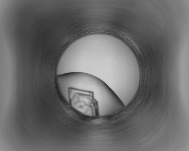 X0000113050505200908271057