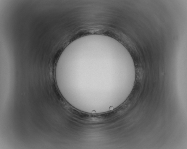 X0000113050510200908271057