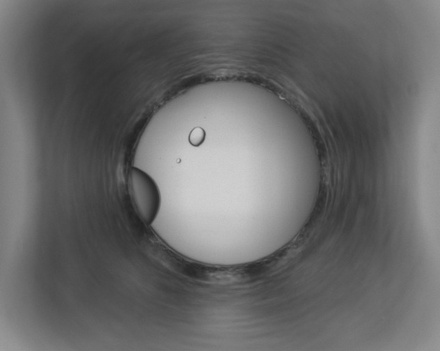 X0000113050516200908271057