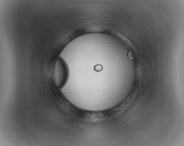 X0000113050517200908271057