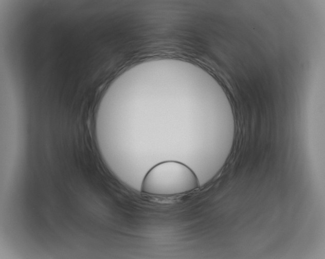 X0000113050520200908271057
