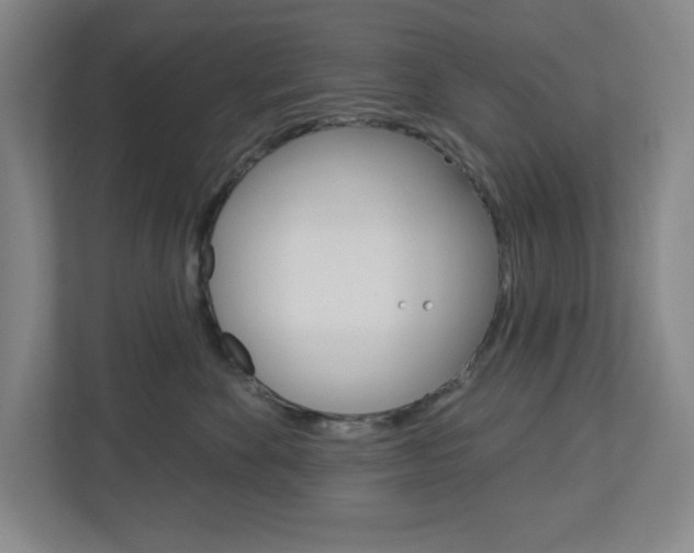 X0000113050524200908271057