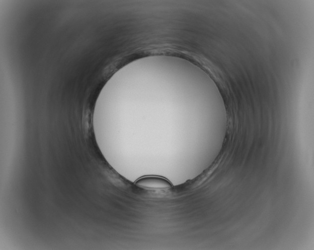 X0000113050525200908271057