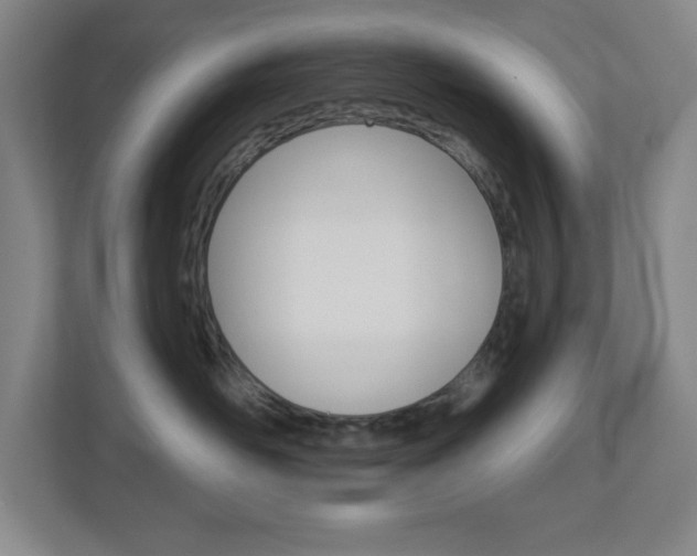 X0000113050526200908271057