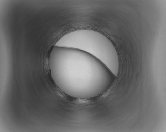 X0000113050528200908271057