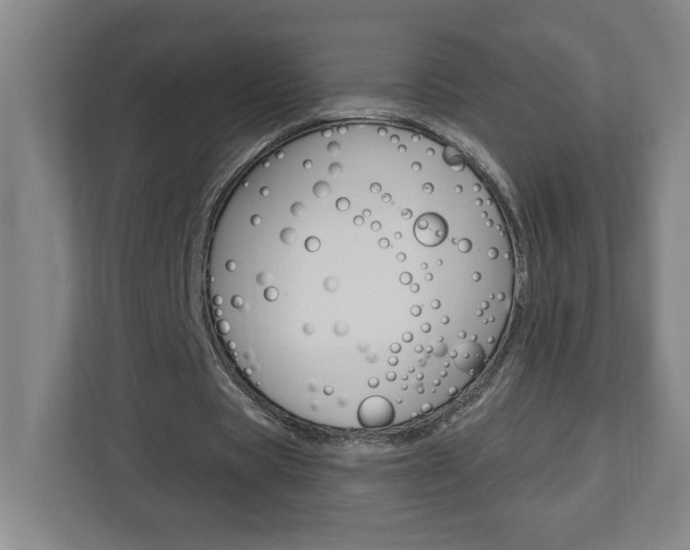 X0000113050529200908271056
