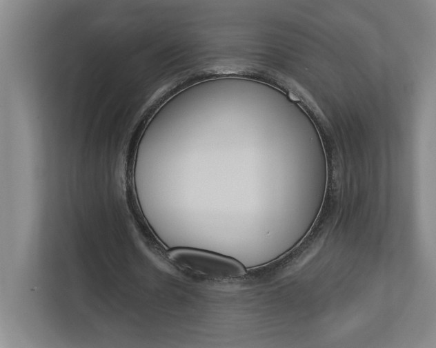 X0000113050530200908271057