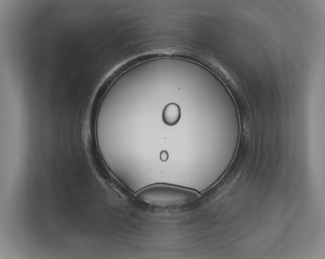 X0000113050532200908271057