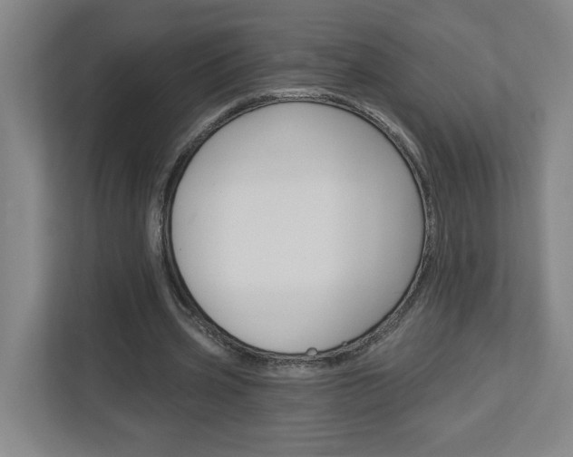X0000113050533200908271057