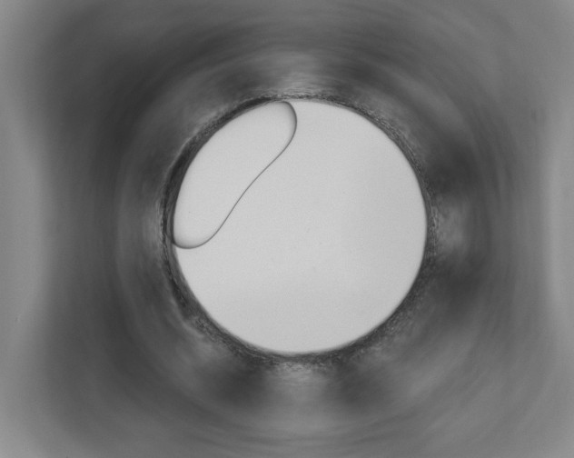 X0000113050534200908271057