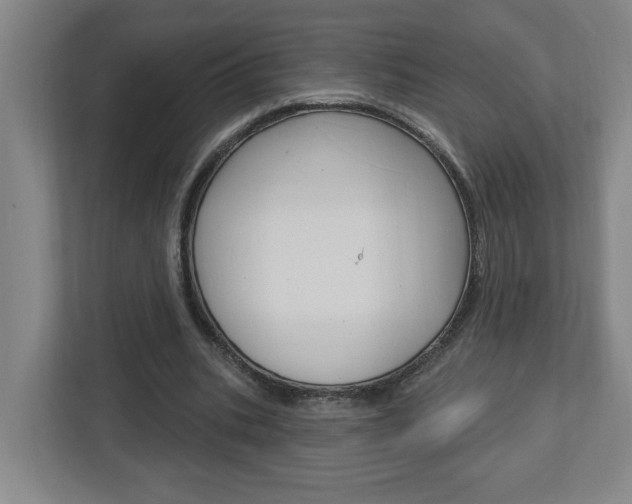 X0000113050535200908271057