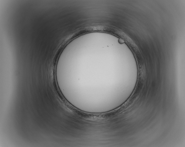 X0000113050537200908271057