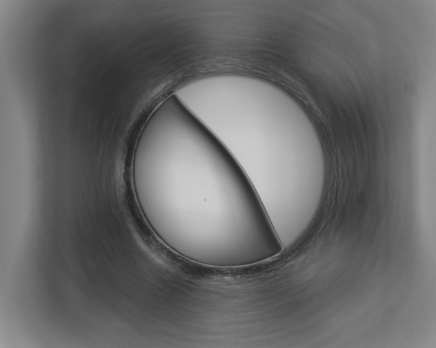 X0000113050538200908271057