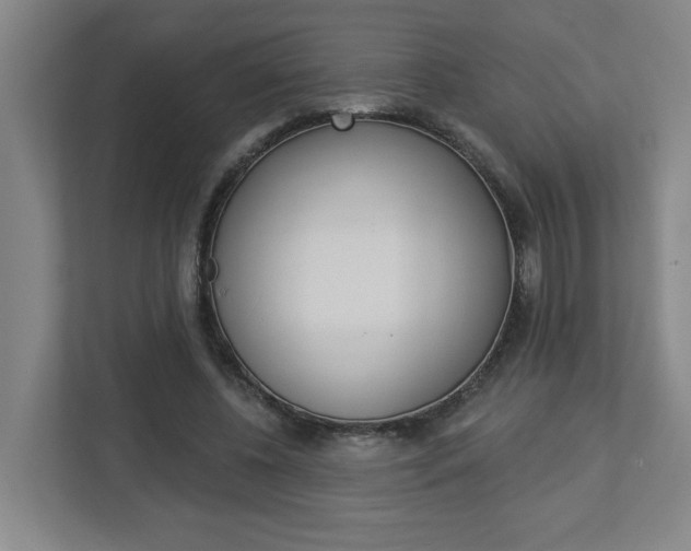 X0000113050540200908271057