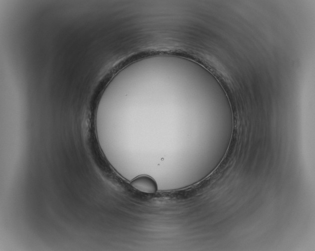 X0000113050544200908271057