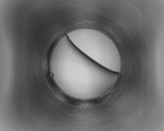 X0000113050547200908271057