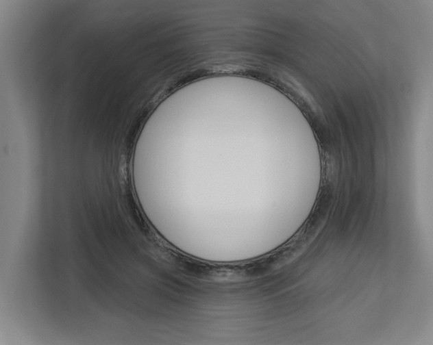 X0000113050549200908271057