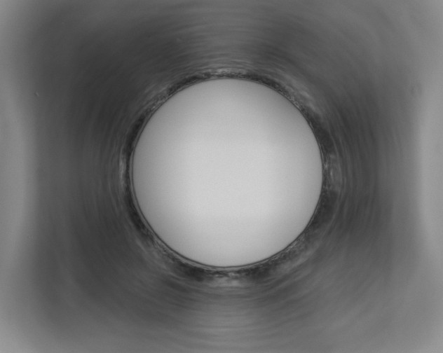 X0000113050550200908271057