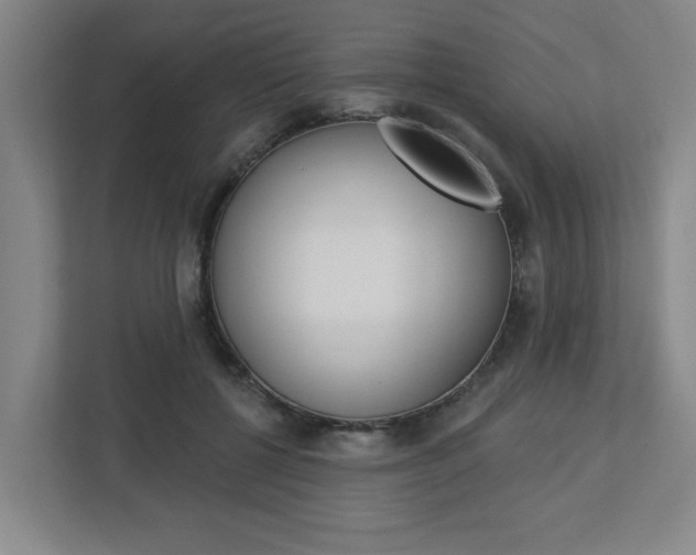 X0000113050552200908271057